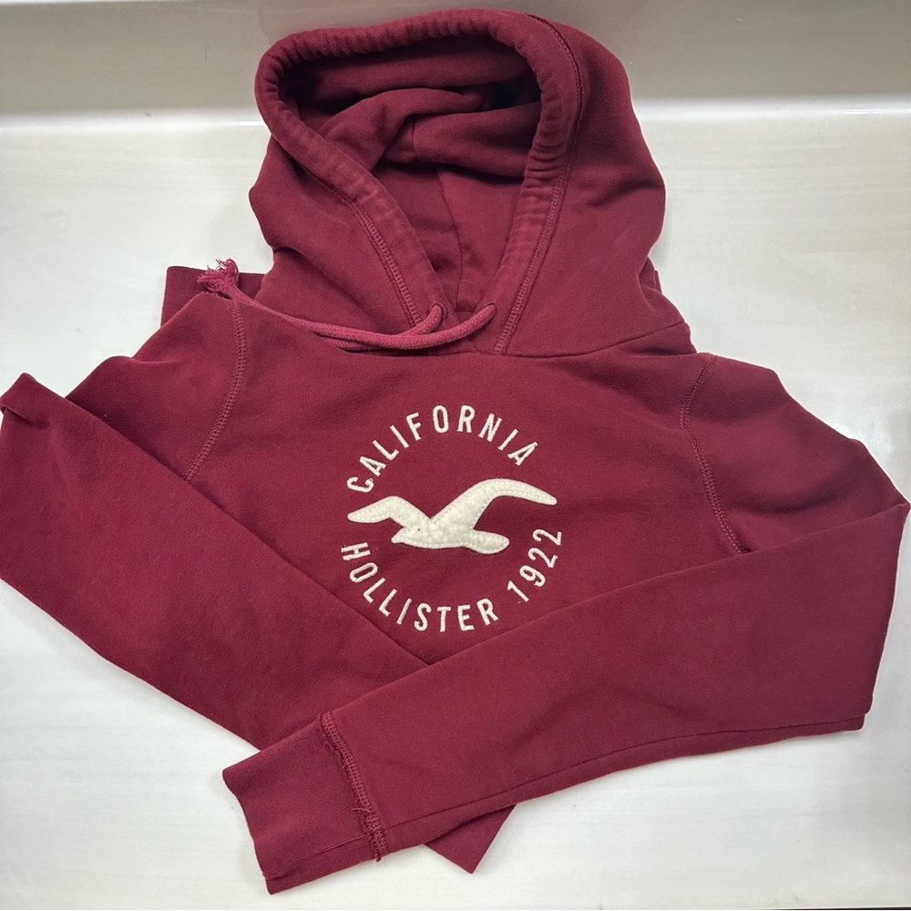 Hollister Hoodie